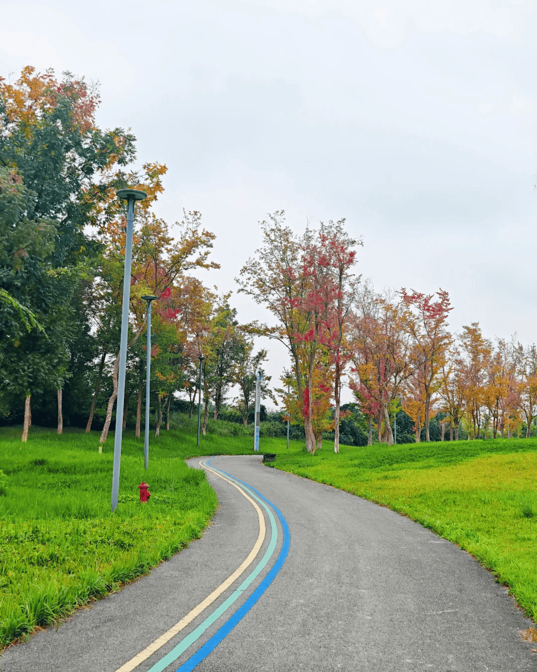 20个公园东南西北全覆盖新葡京娱乐晒太阳